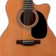 Unveiling the Secrets of the Legendary Laurel Canyon Acoustic Guitar - Master the Art of Playing Guitar and Play Like a Pro