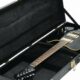 Unveiling the Secrets of "Hard Case Guitar": A Comprehensive Guide for Case Connoisseurs - Master the Art of Playing Guitar and Play Like a Pro