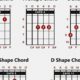 Unlock the Secrets of C# Guitar Chords: A Journey of Discovery and Insight - Master the Art of Playing Guitar and Play Like a Pro