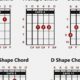 Unlock the Secrets of the C# Chord: A Journey of Discovery and Musical Insight - Master the Art of Playing Guitar and Play Like a Pro