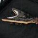 Unlock the Secrets of Electric Guitar Case Protection: A Guide for Every Musician - Master the Art of Playing Guitar and Play Like a Pro