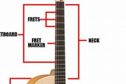 Discover the Secrets of the Acoustic Guitar: Unlocking Insights with Diagrams Master the Art of Playing Guitar and Play Like a Pro Discover the Secrets of the Acoustic Guitar: Unlocking Insights with Diagrams - Master the Art of Playing Guitar and Play Like a Pro