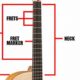 Discover the Secrets of the Acoustic Guitar: Unlocking Insights with Diagrams - Master the Art of Playing Guitar and Play Like a Pro