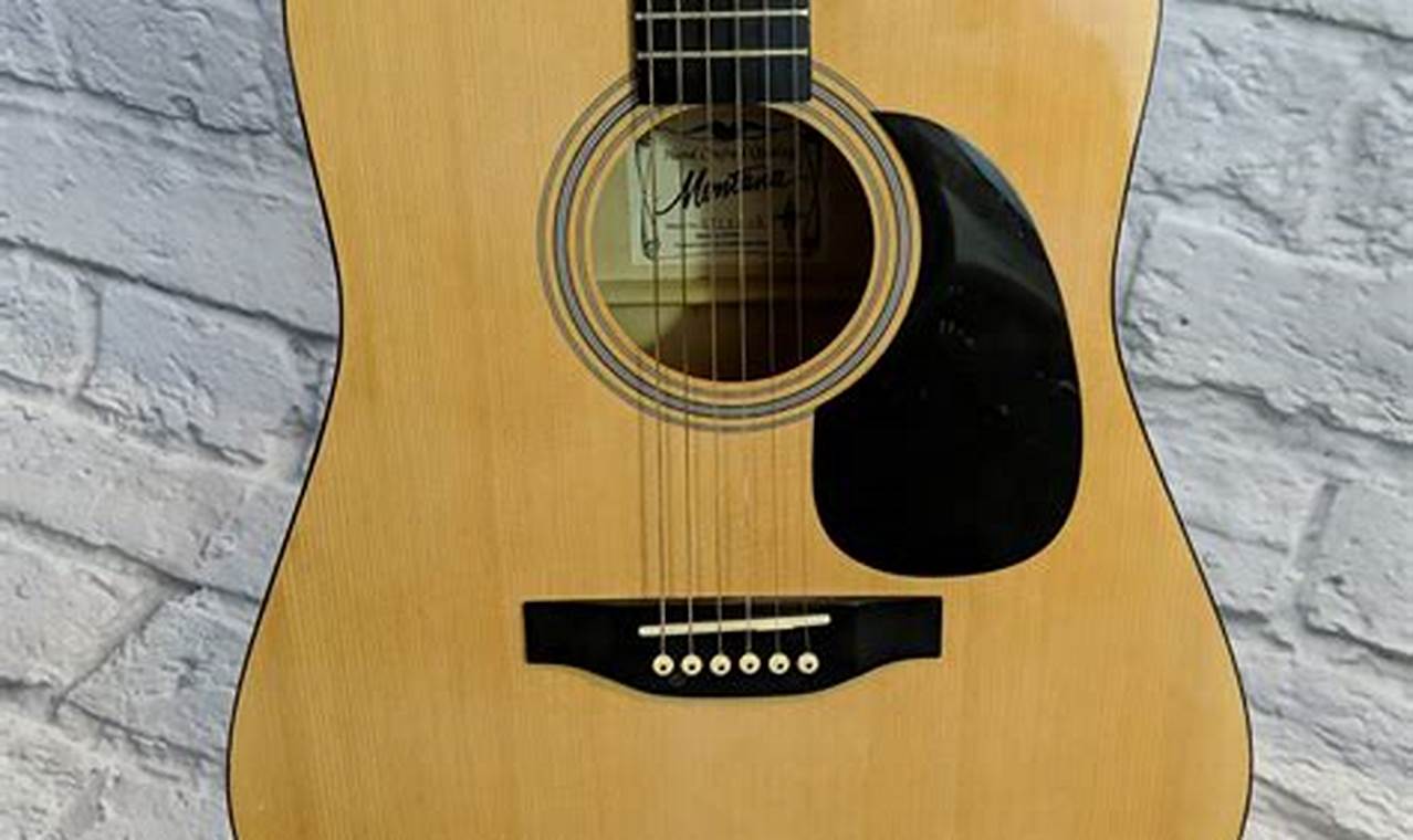 Unveiling the Enchanting World of Montana Guitar Acoustic: A Journey of ...