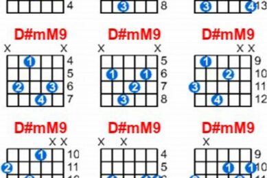 Uncover the Secrets of D# Guitar Chords: A Journey of Discovery - Master the Art of Playing Guitar and Play Like a Pro