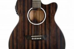 Unveiling the Secrets of the Washburn Deep Forrest Ebony Black: Acoustic Masterpiece - Master the Art of Playing Guitar and Play Like a Pro