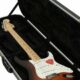 Unlock the Secrets of Guitar Case Electric: A Journey to Protection and Discovery - Master the Art of Playing Guitar and Play Like a Pro