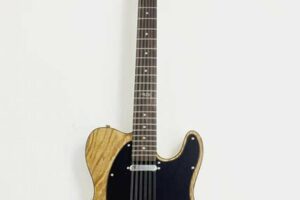 Unlock the Secrets of the Haze 12-String Electric Guitar: Discoveries in Every Chord Master the Art of Playing Guitar and Play Like a Pro Unlock the Secrets of the Haze 12-String Electric Guitar: Discoveries in Every Chord - Master the Art of Playing Guitar and Play Like a Pro