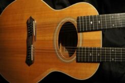 Unlock the Secrets of Acoustic Guitar Double Necks: A Journey of Discovery and Innovation - Master the Art of Playing Guitar and Play Like a Pro