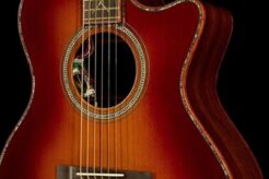 Uncovering the Secrets of the Martin Acoustic Guitar: A Journey of Discovery and Insight Master the Art of Playing Guitar and Play Like a Pro Uncovering the Secrets of the Martin Acoustic Guitar: A Journey of Discovery and Insight - Master the Art of Playing Guitar and Play Like a Pro