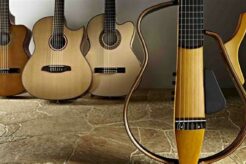 Discover the Secrets to Choosing the Best Nylon Strings for Acoustic Mastery - Master the Art of Playing Guitar and Play Like a Pro