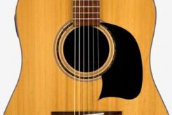 Unveiling the Exceptional Lyon by Washburn Acoustic Guitar: Discoveries and Insights - Master the Art of Playing Guitar and Play Like a Pro