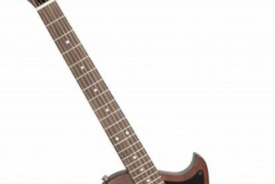 Unveiling the AXL Badwater 1216 JR.: A Journey of Sonic Exploration - Master the Art of Playing Guitar and Play Like a Pro