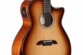 Unveiling the Secrets of Alvarez Electric Guitars: A Journey of Discovery and Inspiration - Master the Art of Playing Guitar and Play Like a Pro