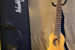 Unveiling the Washburn RO10 Rover Mini: An Acoustic Journey for the Modern Musician - Master the Art of Playing Guitar and Play Like a Pro