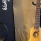 Unveiling the Washburn RO10 Rover Mini: An Acoustic Journey for the Modern Musician - Master the Art of Playing Guitar and Play Like a Pro