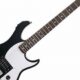 Unveiling the Electric Black and White Guitar: A Journey of Discovery - Master the Art of Playing Guitar and Play Like a Pro
