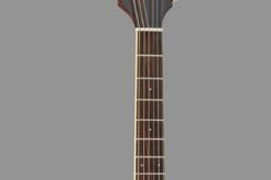 Unveiling the Secrets of Takamine Acoustic Guitars: A Journey of Discovery Master the Art of Playing Guitar and Play Like a Pro Unveiling the Secrets of Takamine Acoustic Guitars: A Journey of Discovery - Master the Art of Playing Guitar and Play Like a Pro