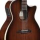 Unveil the Secrets of Acoustic-Electric Alvarez Guitars: A Journey of Discovery - Master the Art of Playing Guitar and Play Like a Pro