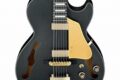 Unveiling the Enchanting Realm of Electric Guitar Hollow Body: A Journey of Discovery and Inspiration - Master the Art of Playing Guitar and Play Like a Pro