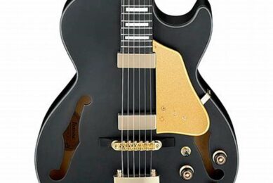 Unveiling the Enchanting Realm of Electric Guitar Hollow Body: A Journey of Discovery and Inspiration - Master the Art of Playing Guitar and Play Like a Pro