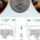 Unveiling the Secrets of Red Bear Guitar Picks: A Journey of Discovery - Master the Art of Playing Guitar and Play Like a Pro