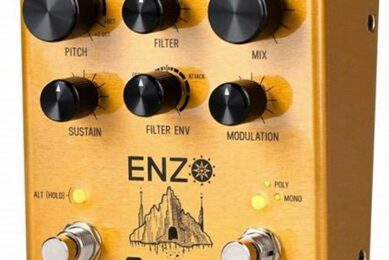 Unleash Your Sonic Potential: Meris Guitar Pedals A Journey of Discovery and Innovation - Master the Art of Playing Guitar and Play Like a Pro