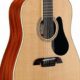 Unveiling the Alvarez 12-String Guitar: A Journey of Exceptional Sound and Versatility - Master the Art of Playing Guitar and Play Like a Pro
