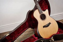 Unveiling the Pinnacle: Your Journey to the Best High-End Acoustic Guitar - Master the Art of Playing Guitar and Play Like a Pro