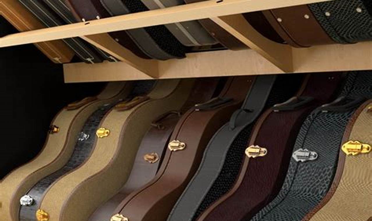 Unveiling the Secrets of Guitar Case Racks A Journey of Discovery and