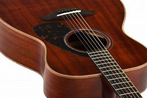 Unveiling the Best Yamaha Acoustic Guitar: A Journey of Discovery and Awe - Master the Art of Playing Guitar and Play Like a Pro