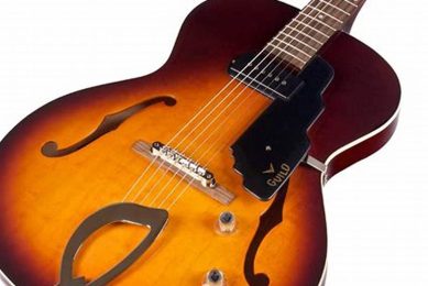 Unveiling the Best Hollow Body Electric Guitars: A Journey of Discovery and Insight - Master the Art of Playing Guitar and Play Like a Pro