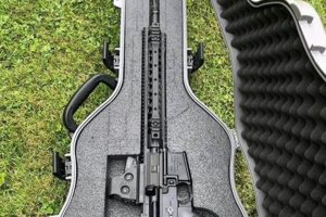 Unveiling the Secrets of AR-15 Guitar Cases: A Journey of Protection, Style, and Convenience Master the Art of Playing Guitar and Play Like a Pro Unveiling the Secrets of AR-15 Guitar Cases: A Journey of Protection, Style, and Convenience - Master the Art of Playing Guitar and Play Like a Pro