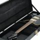 Dive into the World of Electric Guitars with Hard Cases: A Guide to Protection, Convenience, and Style - Master the Art of Playing Guitar and Play Like a Pro