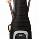 Unlock the Secrets: Discover the Ultimate Protection for Your Guitars - Master the Art of Playing Guitar and Play Like a Pro