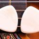 Unveiling the Secrets of Bone Guitar Picks: Discoveries and Insights for Exceptional Playing - Master the Art of Playing Guitar and Play Like a Pro