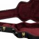 Unveil the Secrets: Ultimate Guide to Hollow Body Guitar Cases - Master the Art of Playing Guitar and Play Like a Pro