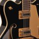 Unveiling the Secrets of the Twelve String Electric Guitar: A Journey of Discovery and Insight - Master the Art of Playing Guitar and Play Like a Pro