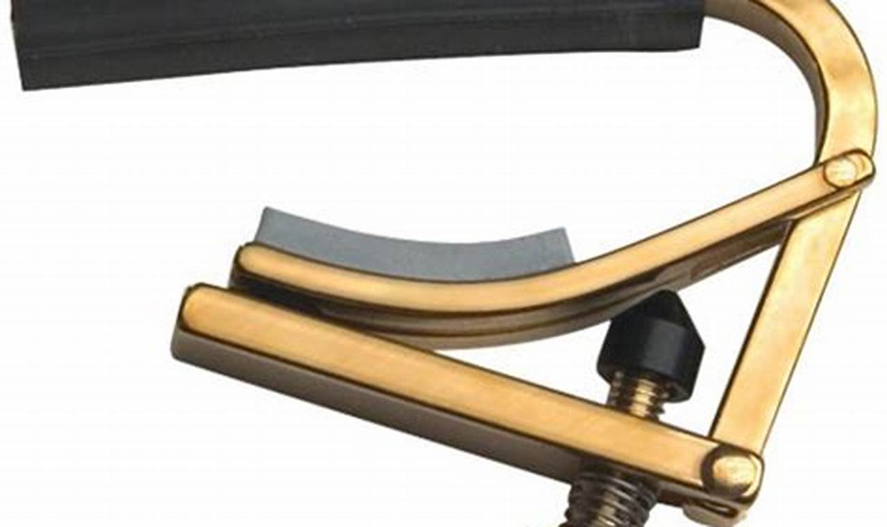 Unveiling the Secrets of the 12-String Guitar Capo: A Gateway to ...
