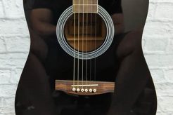 Unveil the Maestro: Discoveries and Insights into Acoustic Guitar Excellence - Master the Art of Playing Guitar and Play Like a Pro