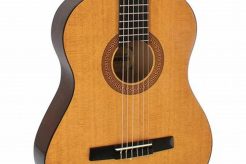 Unveiling the Enchanting World of Nylon Acoustic Guitars: A Journey of Discovery and Insight - Master the Art of Playing Guitar and Play Like a Pro