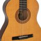 Unveiling the Enchanting World of Nylon Acoustic Guitars: A Journey of Discovery and Insight - Master the Art of Playing Guitar and Play Like a Pro