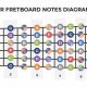Unveiling the Secrets of the Acoustic Guitar Fretboard: A Comprehensive Guide to Enhance Your Playing - Master the Art of Playing Guitar and Play Like a Pro