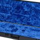 Unveil the Secrets of Firebird Guitar Case: A Journey to Protection and Style - Master the Art of Playing Guitar and Play Like a Pro