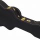 Unlock the Secrets of Guitar Protection: Discover the Guardian Guitar Case Revolution - Master the Art of Playing Guitar and Play Like a Pro
