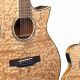 Unveil the Secrets: Find Your Dream 12-String Guitar at an Unbeatable Price - Master the Art of Playing Guitar and Play Like a Pro