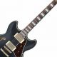 Discover the Ultimate Electric Hollow Body Guitar: A Journey Through Resonant Excellence - Master the Art of Playing Guitar and Play Like a Pro