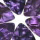 Unveiling the Purple Plectrum: Discoveries and Insights for the "Pick" Niche - Master the Art of Playing Guitar and Play Like a Pro