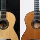 The Ultimate Showdown: Discover the Secrets of Cedar, Spruce, and Mahogany for Acoustic Guitar Tops - Master the Art of Playing Guitar and Play Like a Pro