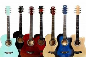 Unveil the World of Acoustic Delights: Global Acoustic Guitars Explored Master the Art of Playing Guitar and Play Like a Pro Unveil the World of Acoustic Delights: Global Acoustic Guitars Explored - Master the Art of Playing Guitar and Play Like a Pro